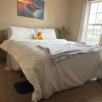 Ivation EZ-Bed (Queen) Air Mattress with Frame & Rolling Case. Self Inflatable. Blow Up Bed Auto Shut-Off. Comfortable Surface AirBed. Best for Guest. Travel. Vacation. Camping photo review