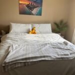 Ivation EZ-Bed (Queen) Air Mattress with Frame & Rolling Case. Self Inflatable. Blow Up Bed Auto Shut-Off. Comfortable Surface AirBed. Best for Guest. Travel. Vacation. Camping photo review
